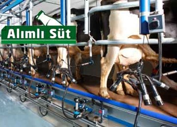 Alımlı Süt Üretim ve Pazarlama